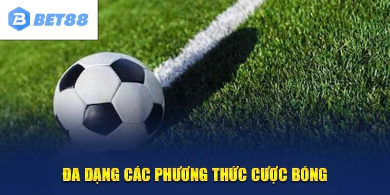 Nhiều hình thức cược phổ biến tại kèo bóng đá Xôi Lạc